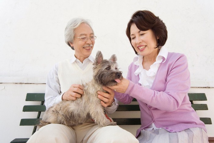 犬を可愛がる年配のカップル