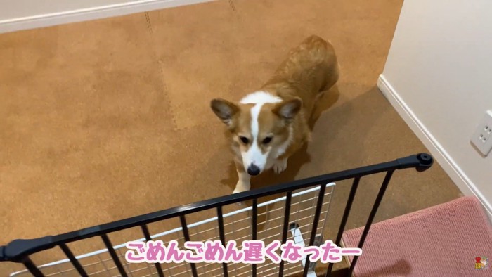 お母さんをお出迎え♪
