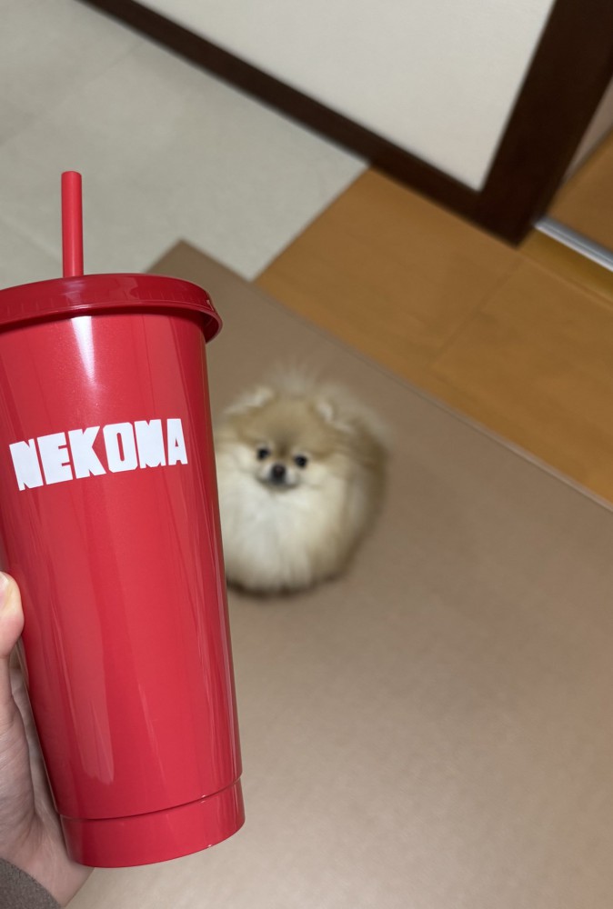 ポメ