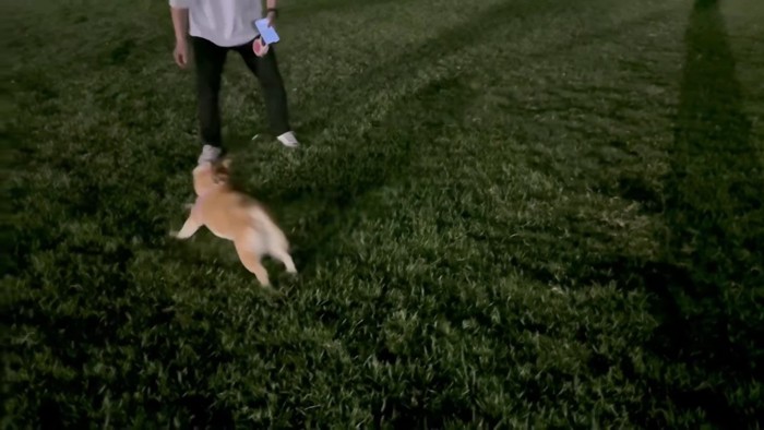 楽しくてたまらない…♪