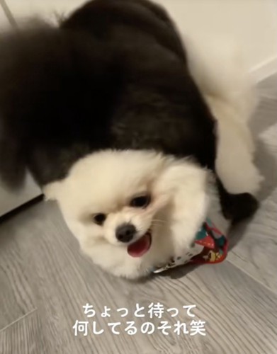 上に乗られてる