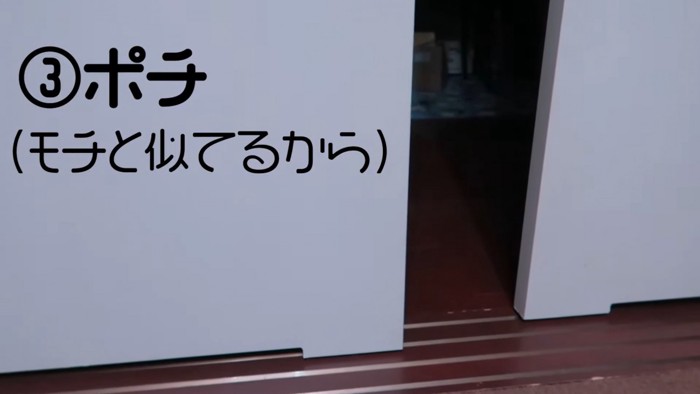 『ポチ』と呼んだ時のモチちゃん