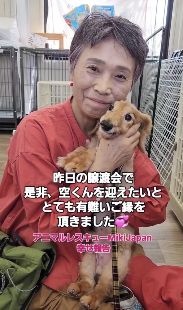 人に抱かれる犬