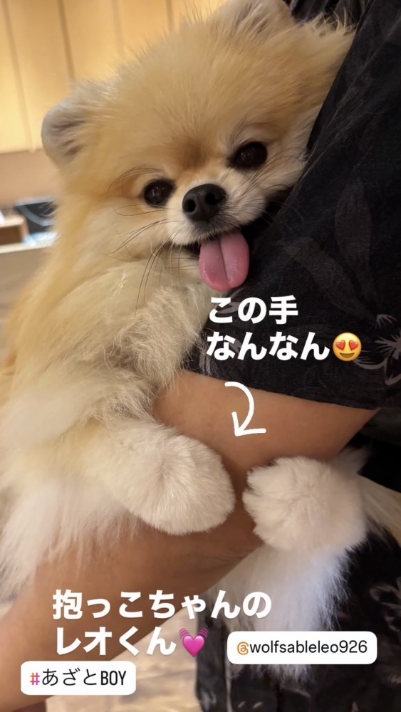 抱っこ