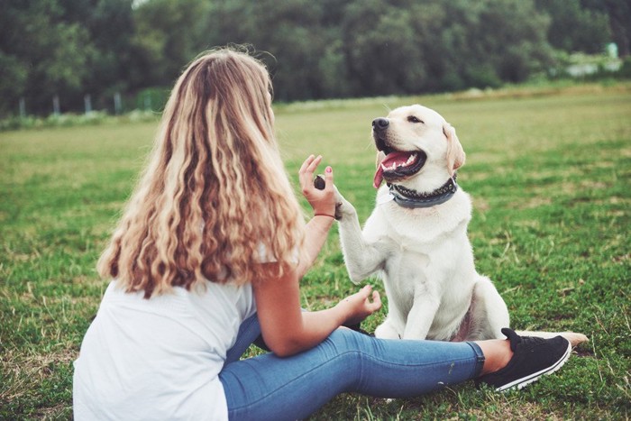 ハイタッチする犬と女性