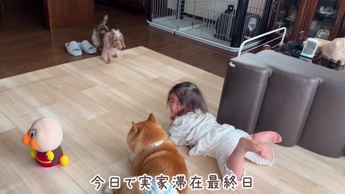 実家にお泊り