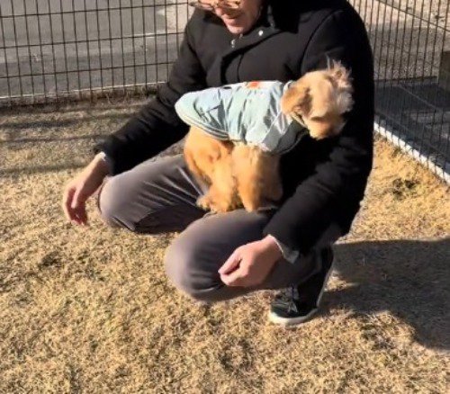 しゃがんでいる男性の膝に飛び乗る犬