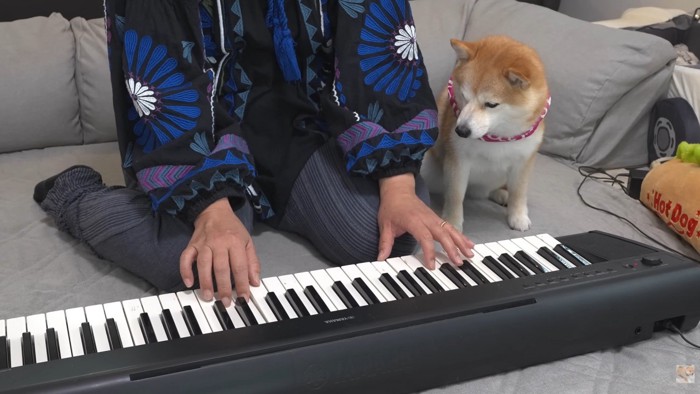 ママさんの手の動きを観察
