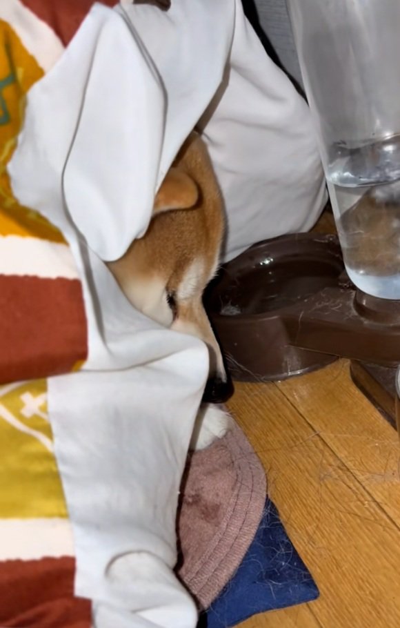 下を向くまめ太くん