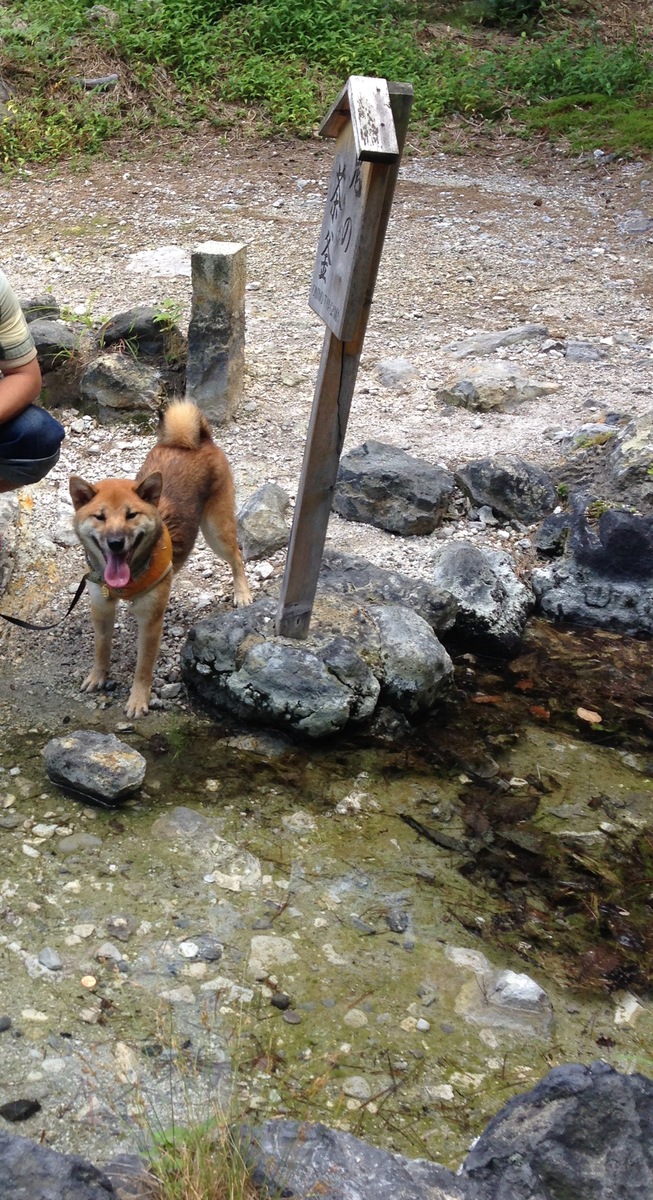 河原で笑う犬