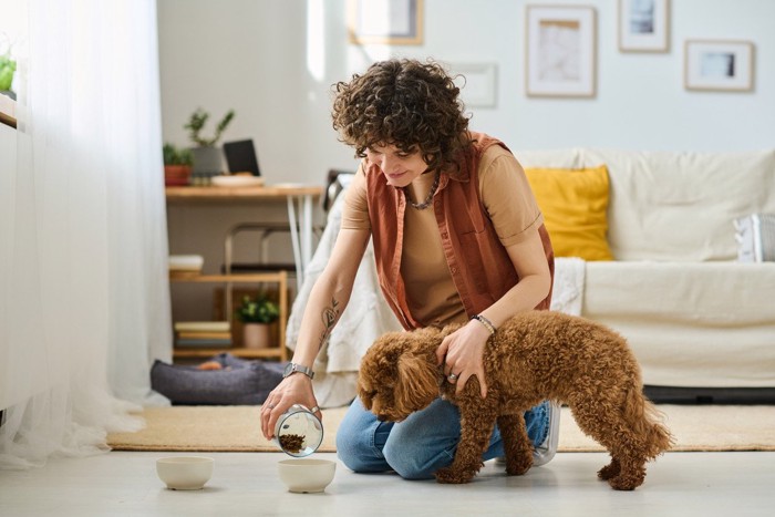 お皿にフードを注ぐ人間とそれを見る犬