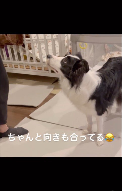 ヘイリーちゃんのおしゃぶり4