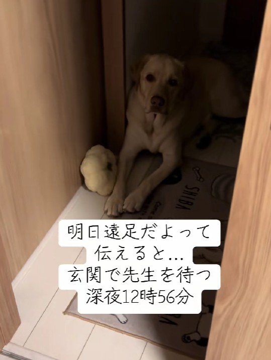 深夜から玄関で待機