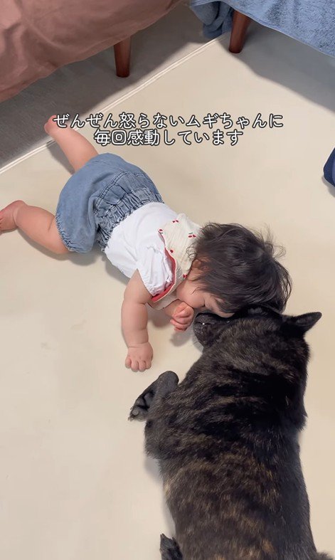 ツムギちゃんと娘さん8