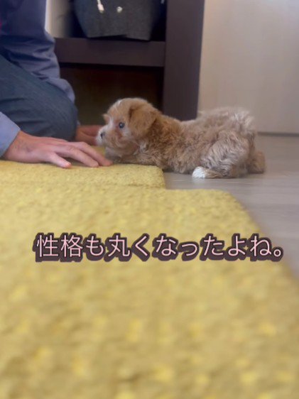 家族も思わずホッコリ…