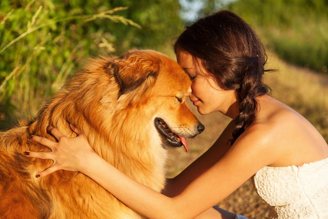 人と犬が向き合っている