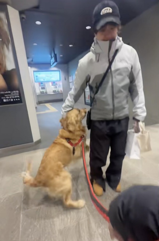 家族愛いっぱいのライチくん