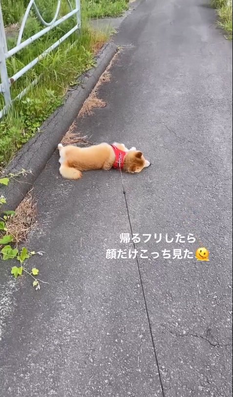 普通に帰ろうと歩き出すと…