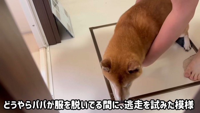 がんばれ！ロックちゃん！！