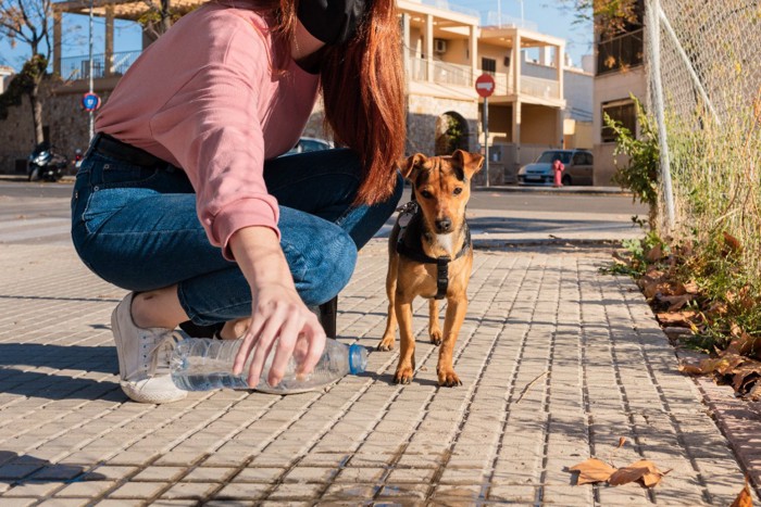 おしっこを流す女性と犬