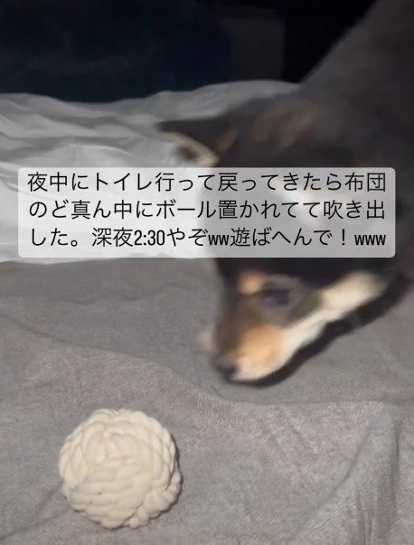 「もう深夜だよ…」