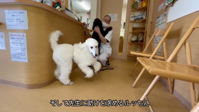 今度は獣医師さん！！