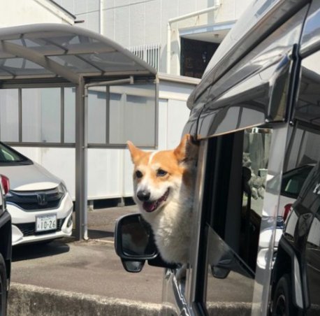 車でも