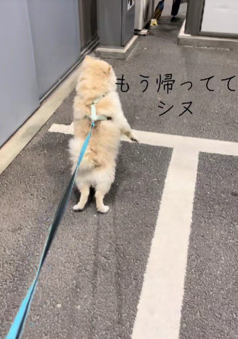 「もういない…」