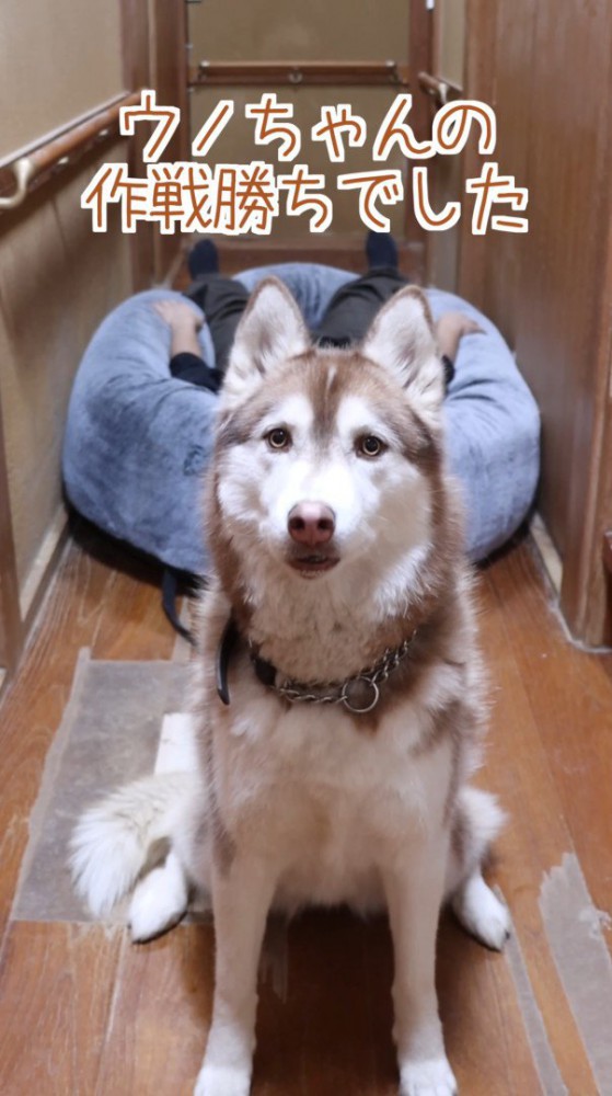 作戦勝ちでおやつをゲット♪