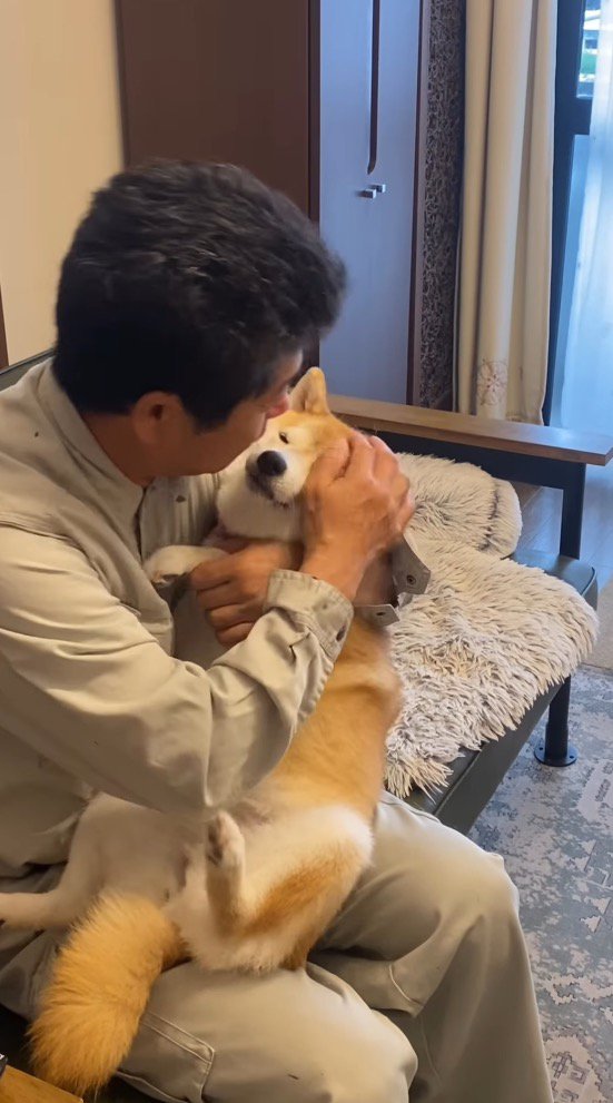 目を開けて男性を見つめる犬