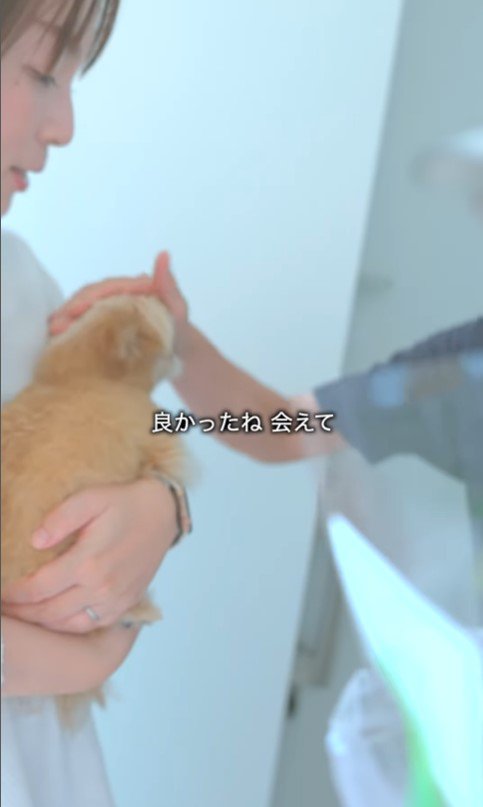 祖父母がお家に来た時のあのちゃん9