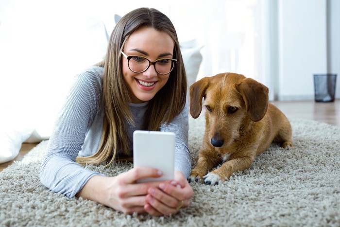 犬と一緒にスマホを見る女性