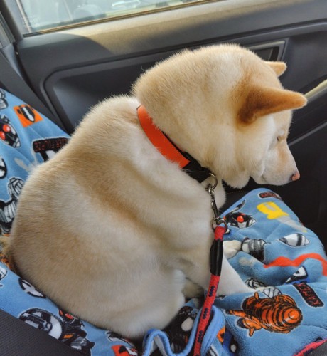 居眠り
