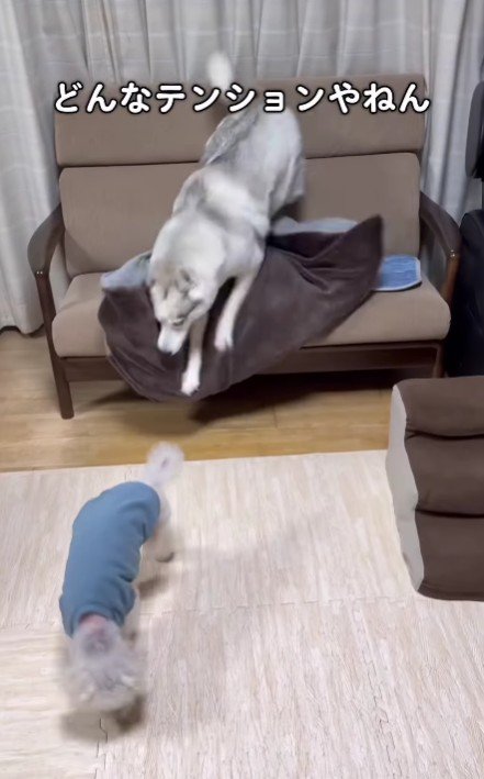 やる気満々だったのに…