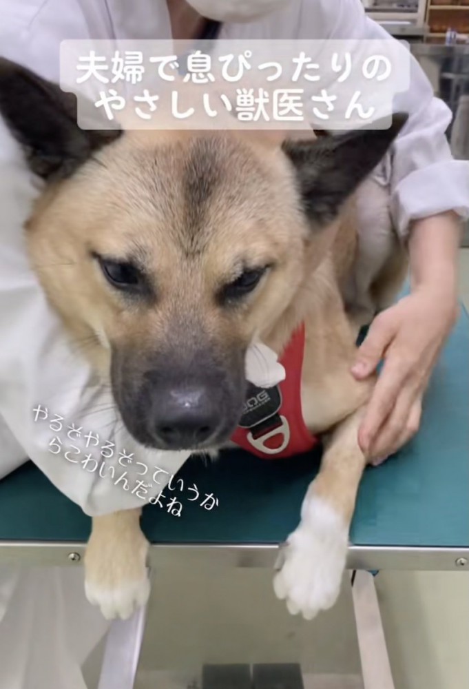 ママ「終わり！？」