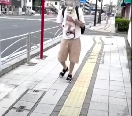 捕まるちくわさん