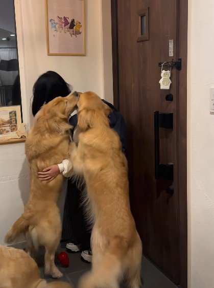 熱烈大歓迎にホッコリ