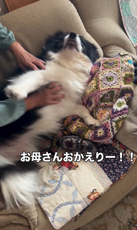 マリちゃんの熱烈歓迎4