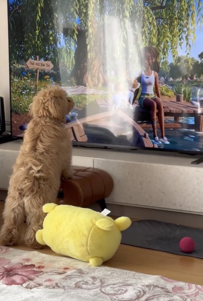 愛嬌満点のあおいくん