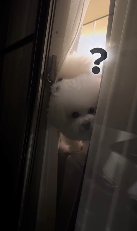 バレないで家を出られるか挑戦9