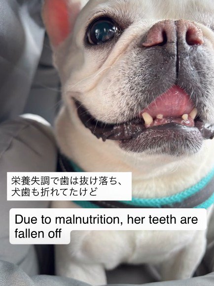 大切にされるって嬉しい