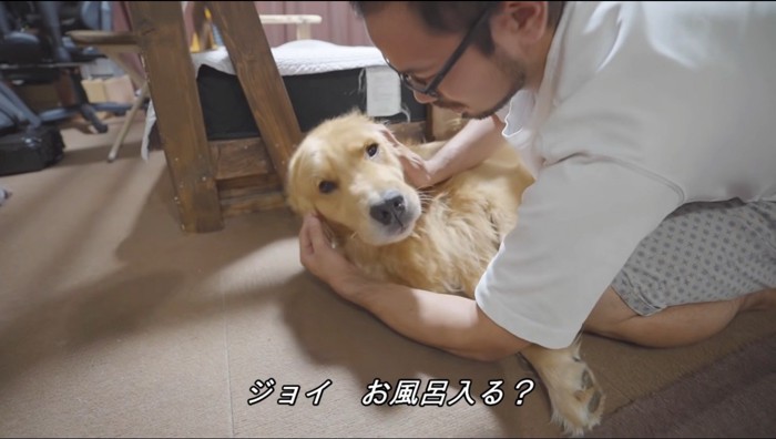 男性に撫でられながら他の場所を見る犬