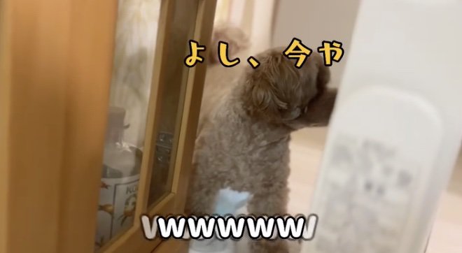 「行こう！！」