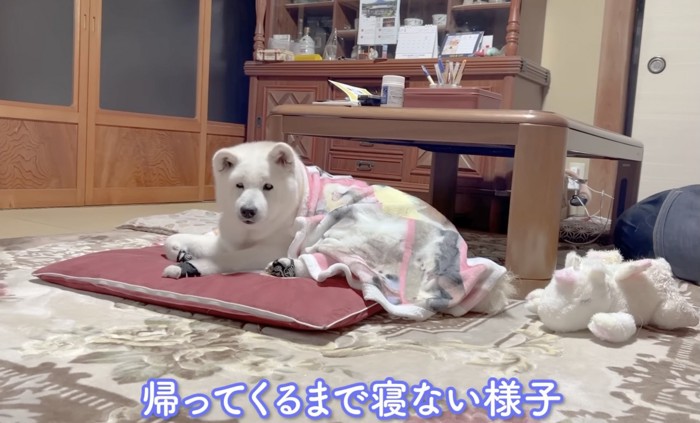 起きて待ってます