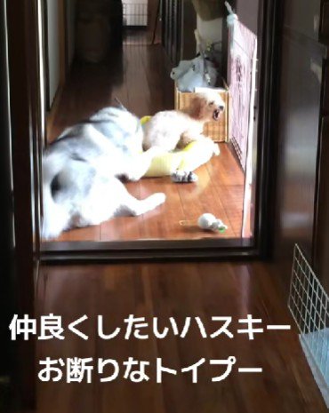 強烈な拒否！！