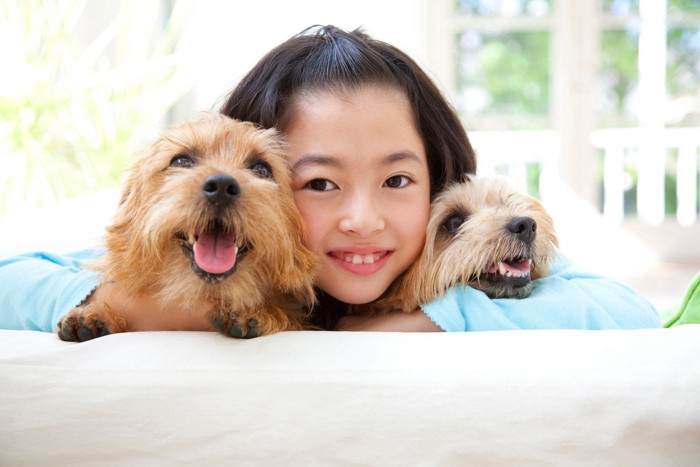 2匹の犬と女の子