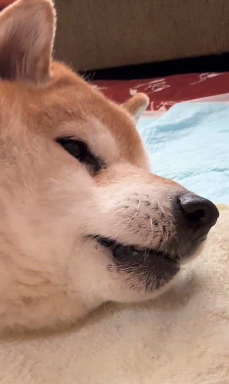 何度も名前を呼ぶお姉ちゃん