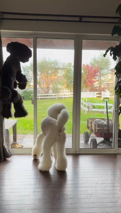 天井に届きそう!?