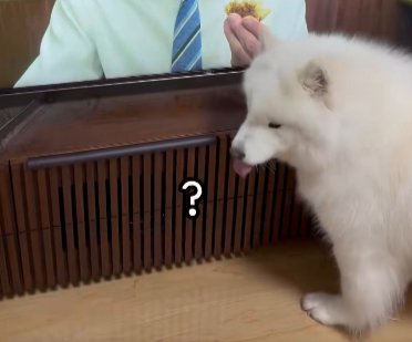 あれ?