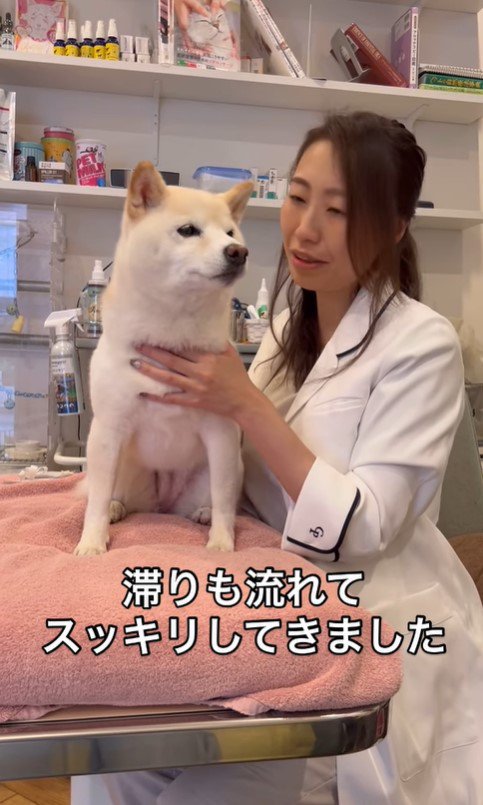 鍼治療を受けるココちゃん9
